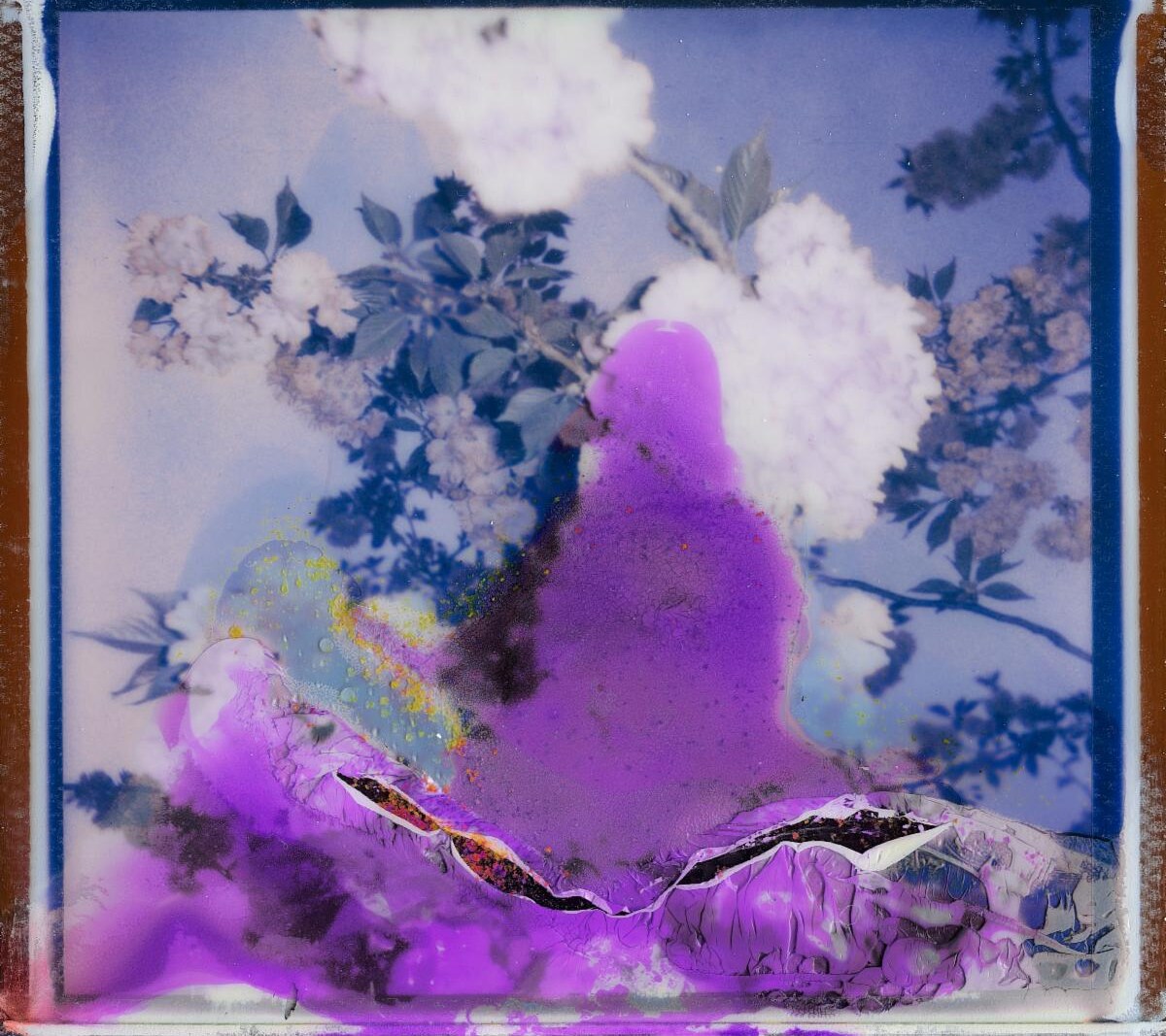 i give my friends flowers tracks the end of the rainfall with dream pop single "FEEL LIKE"