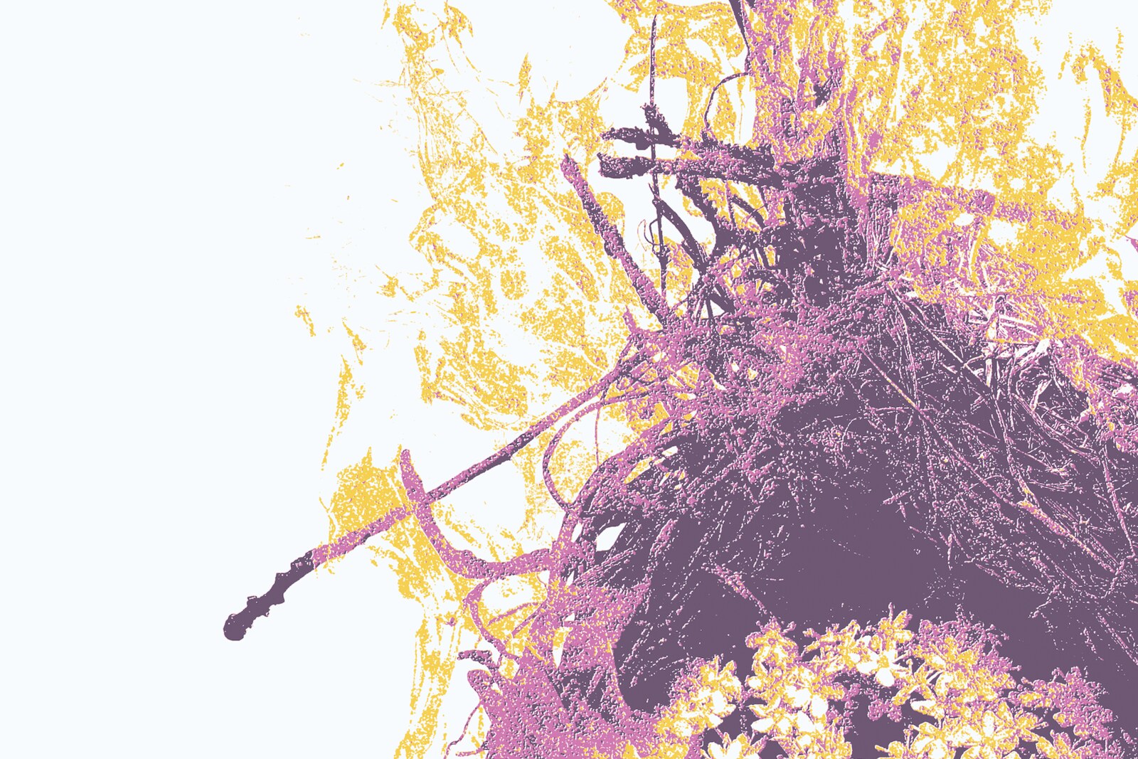 Montreal metallic hardcore band Cross Check drop dual single "Wildfire / Full of Grace"