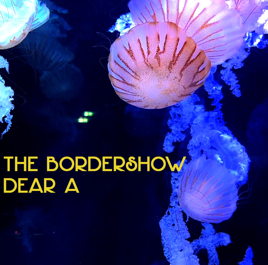 'Dear A', nieuwe single van The Bordershow, band rond Maarten Huygens (Intergalactic Lovers)