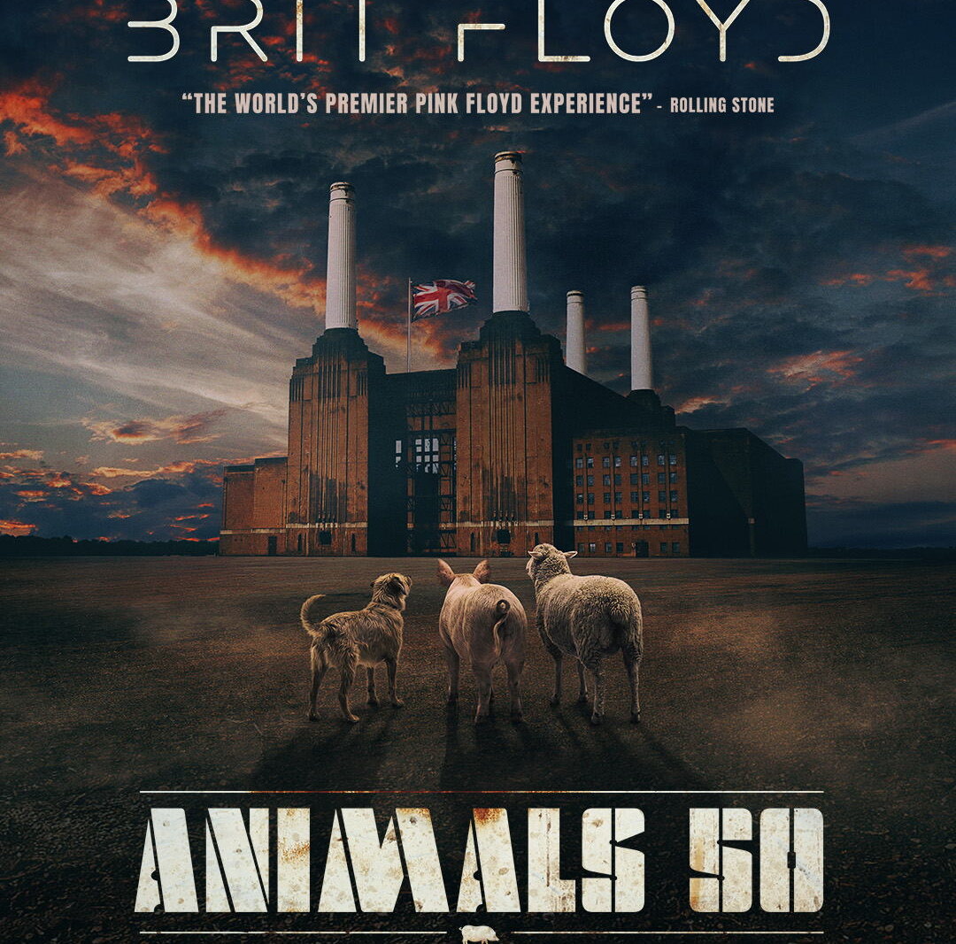 Brit Floyd speelt op vrijdag 22 oktober 2027 in Kursaal Oostende