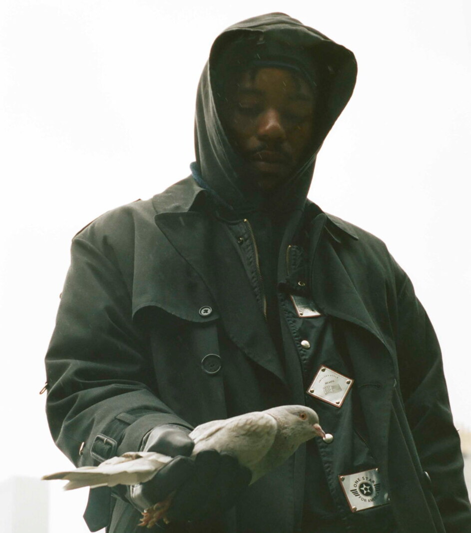 Montell Fish