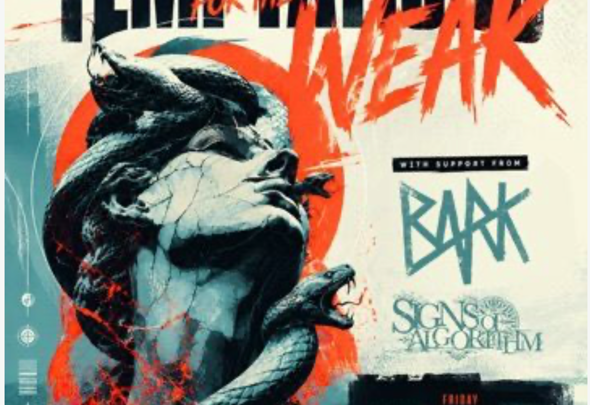 TFTW fest
