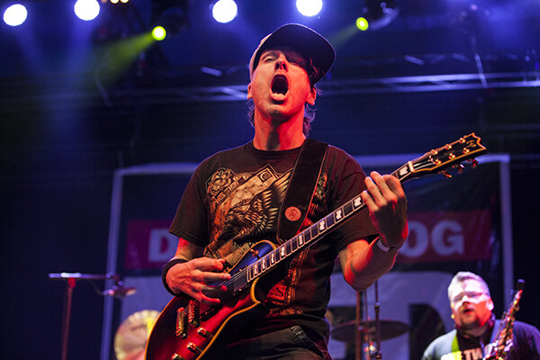 Dog eat Dog Masters@ Rock 2015