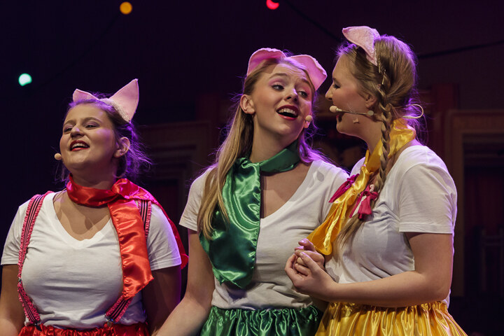 Musical "De 3 Biggetjes" gebracht door Wysiwyg @ CC De Mol