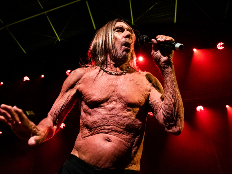Iggy Pop Jazz Middelheim @ Park Den Brandt