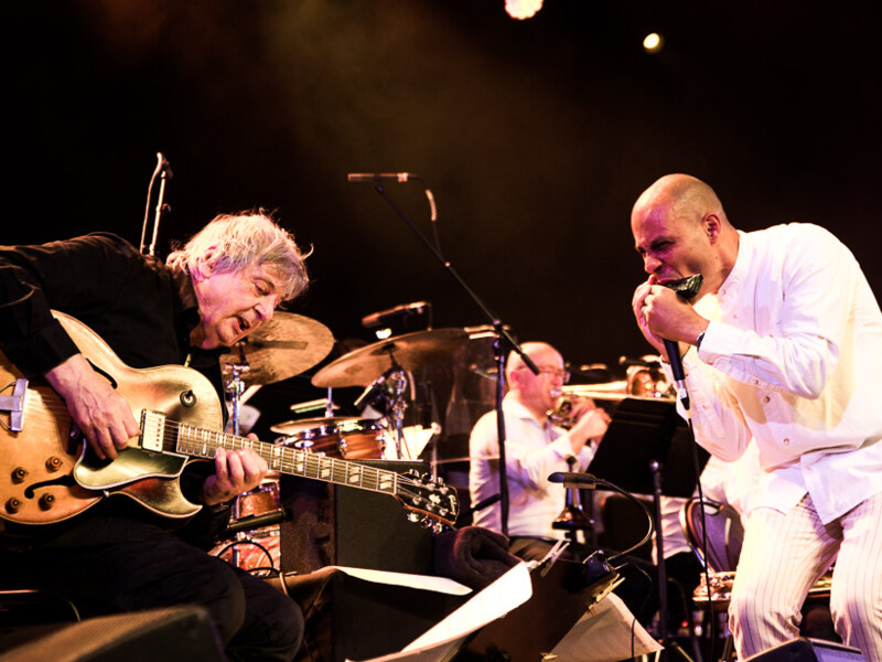 Toots 100 – Brussels Jazz Orchestra @ Jazz Middelheim