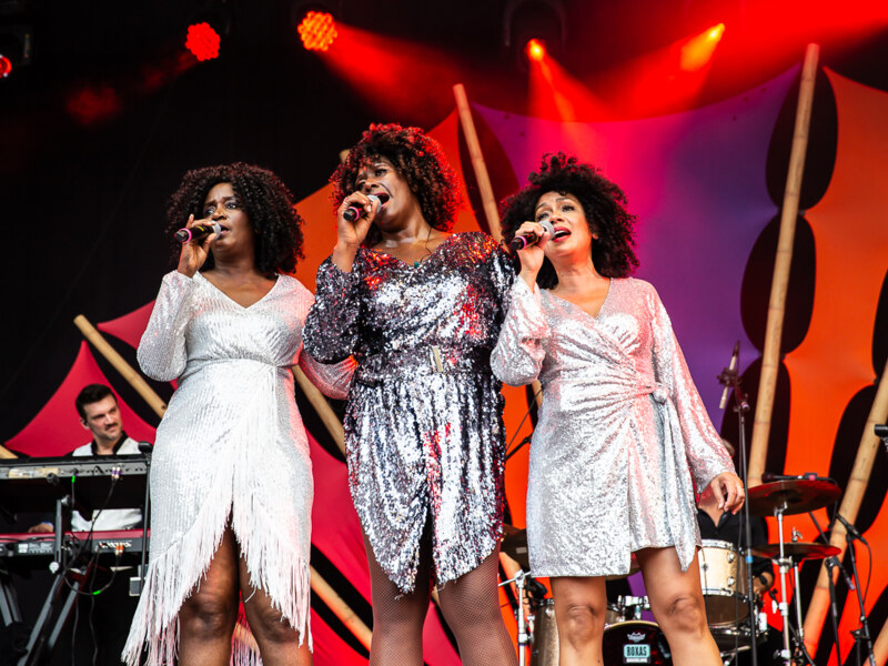 Motown Supremacy @ Bollekesfeest 2023