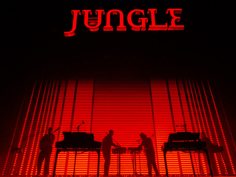 Jungle @ LottoArena