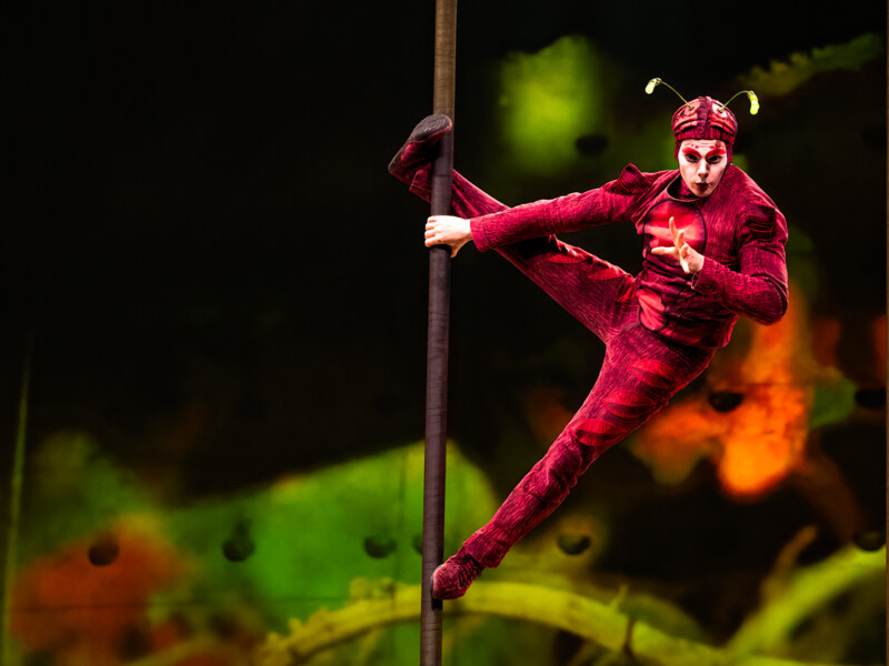 Cirque du Soleil - OVO @ Lotto Arena