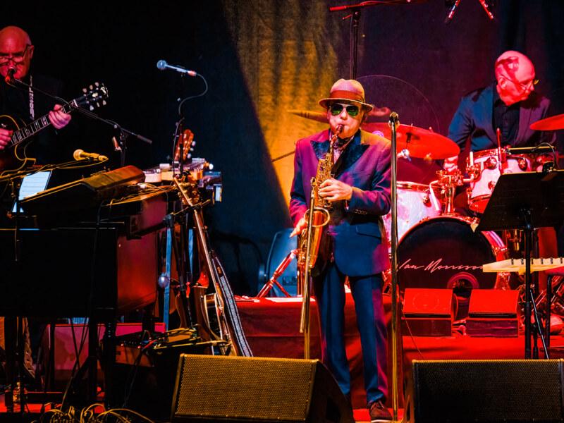 Van Morrison In concert