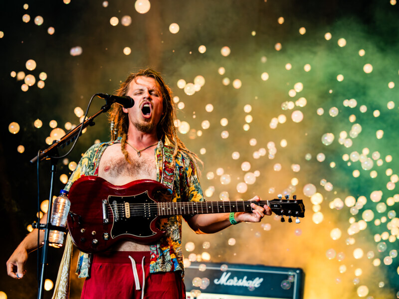 Tarzan & The Beachwaiters @ Vestrock