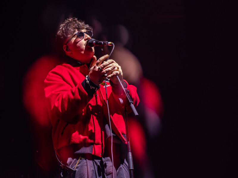 Teddy Bear @ Vorst Nationaal