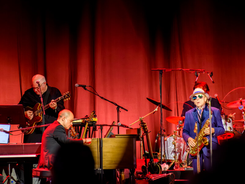 Van Morrison @ Gent Jazz 2026 - 4