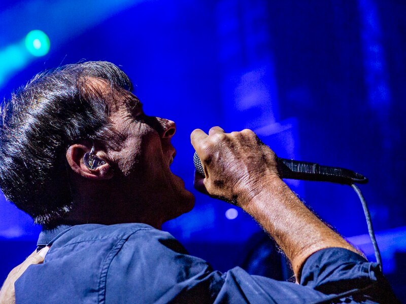 Suede @ Lokerse Feesten - 3