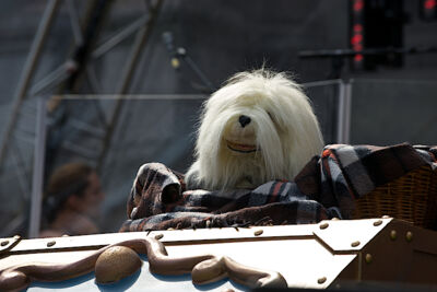 Vlaanderen Muziekland Repetities 11 juli @ Antwerpen, picture 3, photographed by James Van Roosbroeck - FrontView Magazine