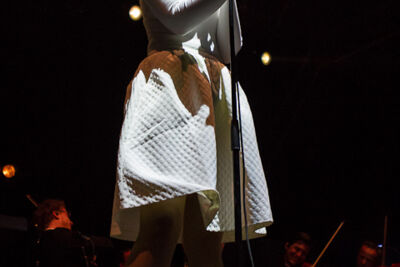 Hooverphonic @ Rock Zottegem 2013, picture 4, photographed by Dorien Goetschalckx - FrontView Magazine