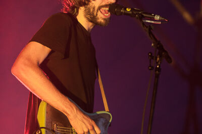 Black Box Revelation @ Rock Zottegem 2013, picture 6, photographed by Dorien Goetschalckx - FrontView Magazine