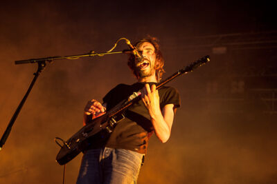 Black Box Revelation @ Rock Zottegem 2013, picture 11, photographed by Dorien Goetschalckx - FrontView Magazine