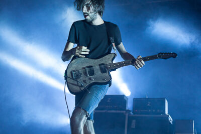 Black Box Revelation @ Rock Zottegem 2013, picture 18, photographed by Dorien Goetschalckx - FrontView Magazine