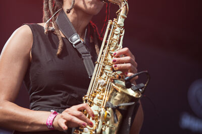 The Skints @ Dour 2013, picture 7, photographed by Dorien Goetschalckx - FrontView Magazine
