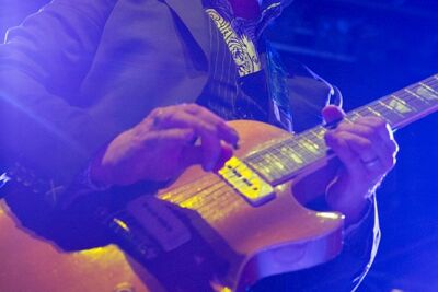 Elvis Costello @ 013 Tilburg, picture 8, photographed by Edwin Houdevelt - FrontView Magazine