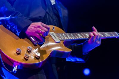 Elvis Costello @ 013 Tilburg, picture 13, photographed by Edwin Houdevelt - FrontView Magazine