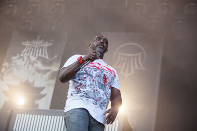 IAM @ Dour 2013, picture 2, photographed by Dorien Goetschalckx - FrontView Magazine
