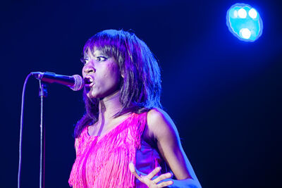 Overzicht vrijdag Blues Peer 2013, picture 51, photographed by Jurgen Aerts - FrontView Magazine