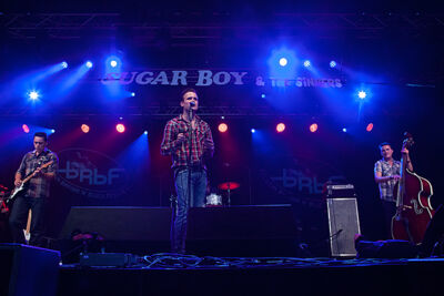 Sugar Boy and the Sinners @ Blues Peer 2013, picture 11, photographed by Jurgen Aerts - FrontView Magazine