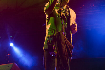 Tindersticks @ Rivierenhof, picture 2, photographed by Walter Grimm - FrontView Magazine