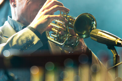 Tindersticks @ Rivierenhof, picture 14, photographed by Walter Grimm - FrontView Magazine