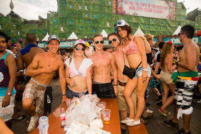 Tomorrowland Editie 2013 : Magical Friday, picture 8, photographed by Jonas Wallecan - FrontView Magazine