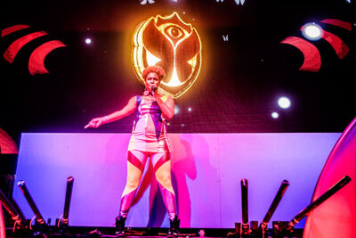 Tomorrowland Editie 2013 : Magical Friday, picture 84, photographed by Jonas Wallecan - FrontView Magazine