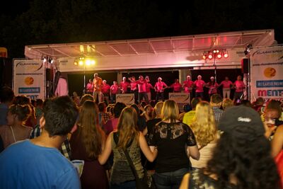 Vlaanderen zingt - Sfeerbeelden @ Bornem, picture 31, photographed by James Van Roosbroeck - FrontView Magazine