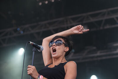 Superlux @ Ronquières Festival 2013, picture 4, photographed by Dorien Goetschalckx - FrontView Magazine