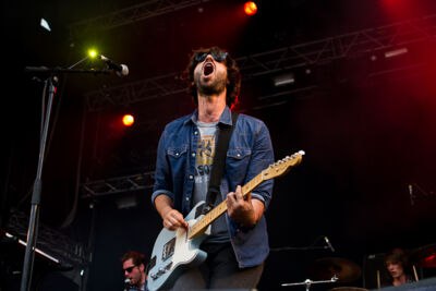 Vismets @ Ronquières Festival 2013, picture 32, photographed by Dorien Goetschalckx - FrontView Magazine