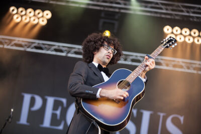 Pegasus @ Ronquières Festival 2013, picture 10, photographed by Dorien Goetschalckx - FrontView Magazine
