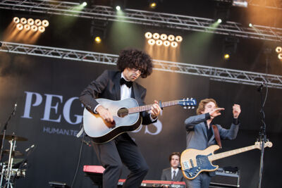 Pegasus @ Ronquières Festival 2013, picture 31, photographed by Dorien Goetschalckx - FrontView Magazine