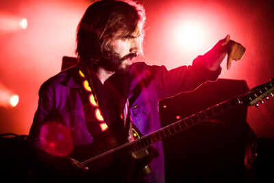 Black Box Revelation @ Crammerock, picture 8, photographed by Tom Stessens - FrontView Magazine
