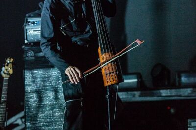 Peter Gabriel @ Vorst Nationaal, picture 5, photographed by Edwin Houdevelt - FrontView Magazine