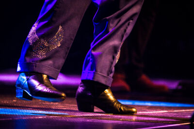 Charles Bradley & His Extraordinaires @ Ancienne Belgique, picture 10, photographed by Tom Stessens - FrontView Magazine