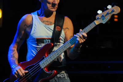 T-Rex (The music of Marc & Mickey) @ Back to the Roots Fest, picture 1, photographed by Paul Nouwen - FrontView Magazine