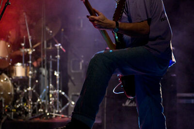 The Vipers @ Back to the Roots Fest, picture 4, photographed by Paul Nouwen - FrontView Magazine