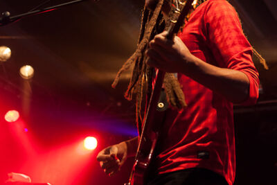 RDGLDGRN @ Vans Warped Tour NL, picture 2, photographed by Dorien Goetschalckx - FrontView Magazine