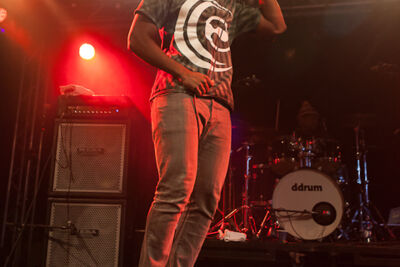 RDGLDGRN @ Vans Warped Tour NL, picture 8, photographed by Dorien Goetschalckx - FrontView Magazine