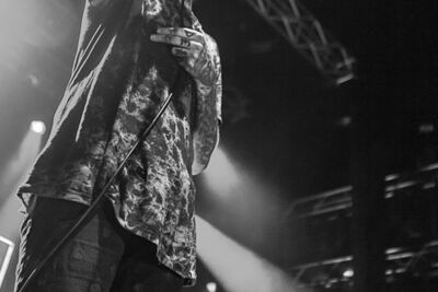 Bring Me The Horizon @ 013, foto 5, foto's door Dorien Goetschalckx - FrontView Magazine