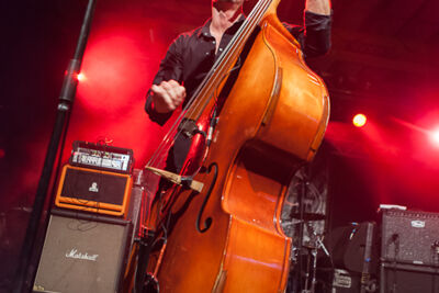 Wildmen @ Speedfest, picture 16, photographed by Dorien Goetschalckx - FrontView Magazine