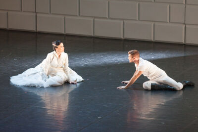 Matthew Bourne's Swan Lake @ Stadsschouwburg, picture 31, photographed by Koen Rondelez - FrontView Magazine