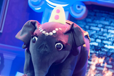 De grote Sinterklaasshow 2013 @ Sportpaleis, foto 56, foto's door Dimitri Vanlommel - FrontView Magazine