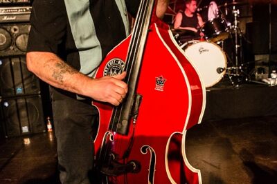 Frenzy @ Old School Rockabilly Psychosis Night Trix, picture 4, photographed by Edwin Houdevelt - FrontView Magazine